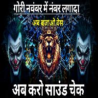 Gori November Me Number Lagake Hard Jbl Bess Mix Pawan Singh Bhojpuri Old Song Remix Dj Akshay Rbl 